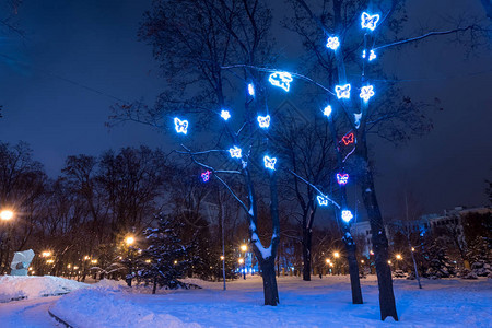 晚上在哈尔科夫冬季公园街灯照明图片