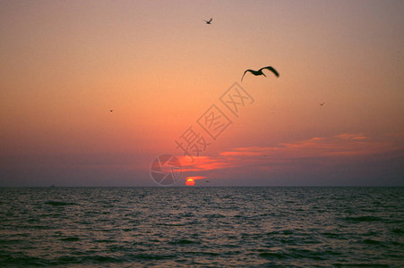 日落时在墨西哥湾上图片