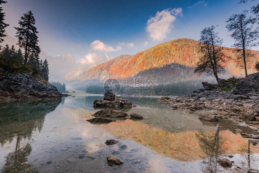 高山湖的雾森林图片