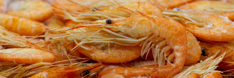 有爪子和胡子的大解冻大西洋虾新鲜冷冻的橙色虾和甲壳类动物的宏观照片一个关于冷冻海鲜图片
