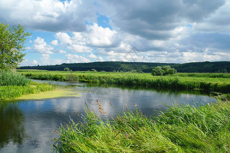 星空陆地,河流有树木的陆地背景