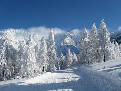 大雪过后的迷人风景图片