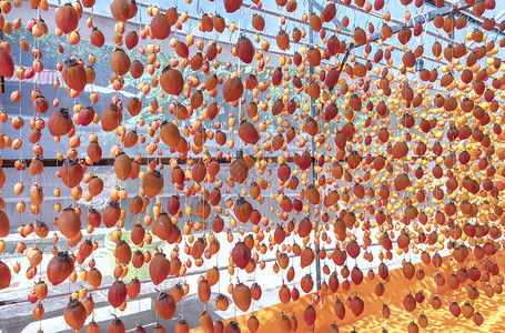 柿子干是根据在越南大叻应用的日本传统技术进行干燥的它们被悬挂在封闭房屋的钻机上25天图片
