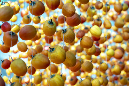 柿子干是根据在越南大叻应用的日本传统技术进行干燥的它们被悬挂在封闭房屋的钻机上25天图片
