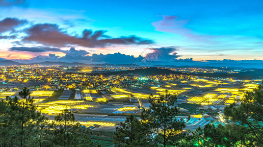 大叻一个山谷的城市夜景图片