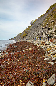 蒙茅斯海滩岸的风景图片
