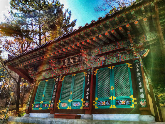 在釜山韩国亚洲的佛教寺庙图片