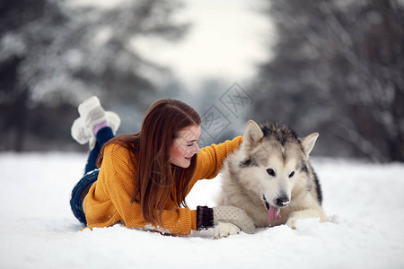 女孩躺在雪中阿拉斯加马来穆特的狗旁边图片