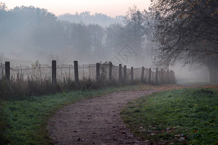 明秋初雾清晨公园的迷雾道路旧围栏秋树和道路在雾中消失背景图片
