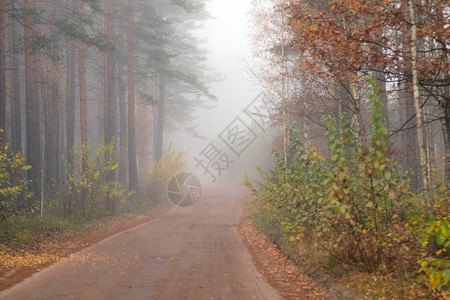 在雾中驾驶农村公路图片