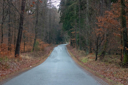 德国冬季乡村道路图片