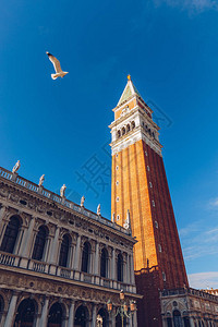 圣马可广场与钟楼意大利威尼斯位于意大利圣马可广场图片