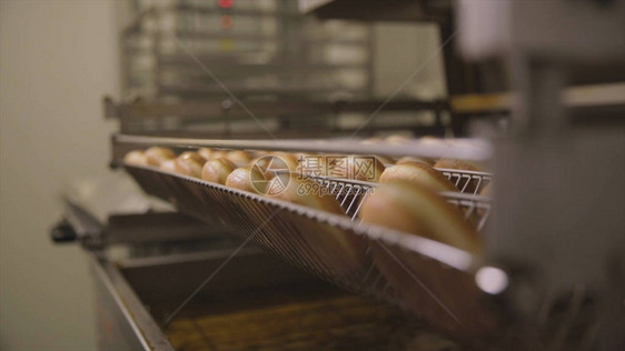 甜圈的工业生产场景面包店面包行业糖果厂饼干和百吉饼或甜圈在面包店甜点工图片