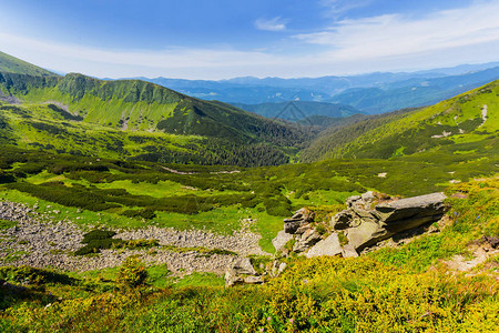 绿色山谷夏天风景图片