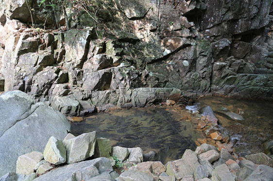 大鱼在水里游来去图片