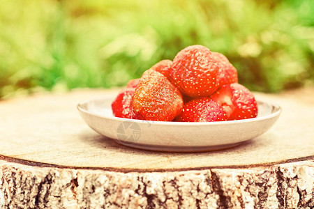 阳光明媚的花园里的新鲜草莓图片