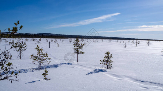 芬兰拉普兰蓝天风景的图片