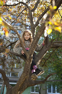 一个漂亮的女孩坐在大楼附近的一棵树上图片