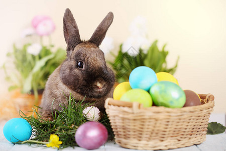 复活节兔子和复活节图片