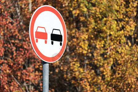 以秋天森林路标禁止超车为背景秋日图片