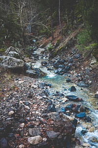 山间溪流山河两岸的大石头水的流动图片