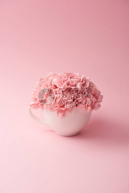 粉红背景的白杯中美丽的粉图片