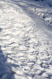 冬季背景在雪图片