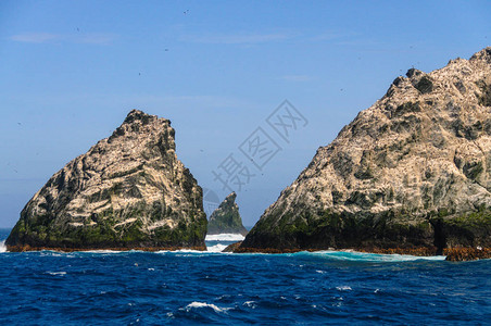 ShagRocks是南乔治亚州最西部的六个无人居住的小岛它们以南乔治亚帝国鸬鹚命名图片