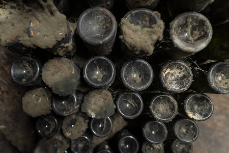 地下窖中古老葡萄酒瓶上的摩尔cob图片