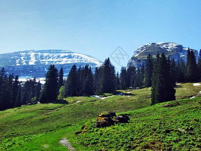 瑞士圣加仑州Churfirveen山脉坡上的阿尔卑斯图片