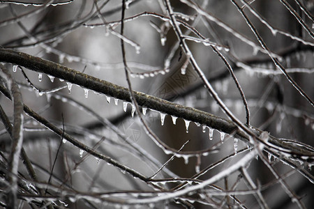 冬天暴风雨过后冰雪和冰柱图片