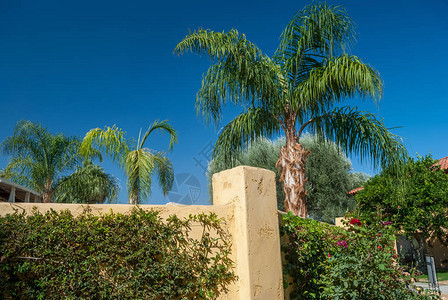南加州棕榈泉附近的花园墙图片