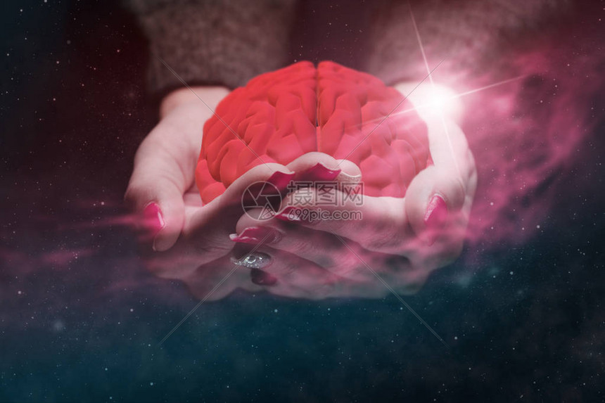 掌握Remini：从照片修复到图像增强的全方位使用指南 (掌握人生小说)