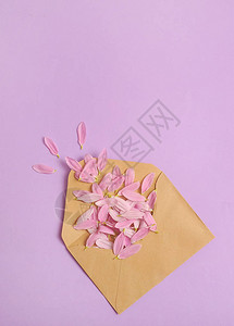 带花瓣的信封背景图片