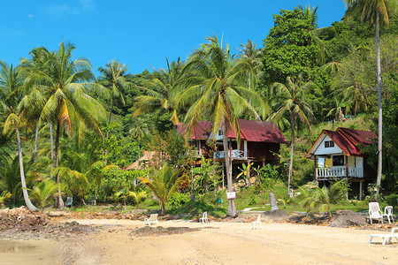 泰国KohWai岛上棕榈树图片