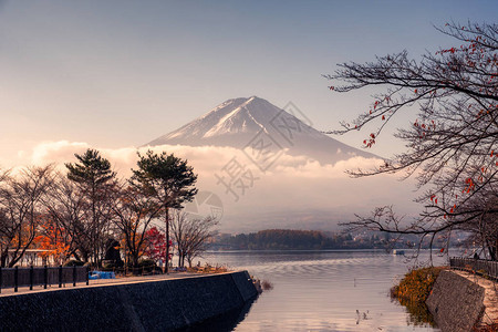 早上在河口湖的秋天花园里多云的富士山图片