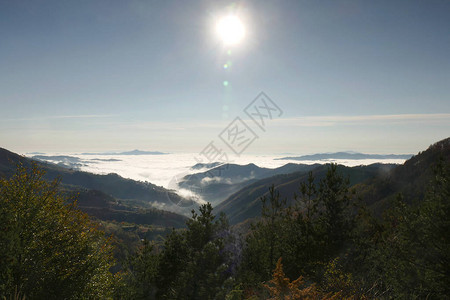 保加利亚的罗多彼山笼罩着一层白雾浓雾海只能看到山的高处前景中的树木图片