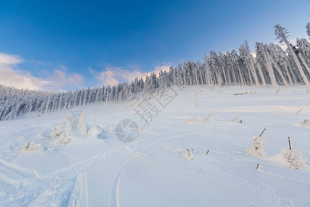 在白雪皑的冬天图片