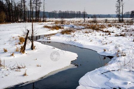 波德拉西的冬天GrnjNarew谷图片