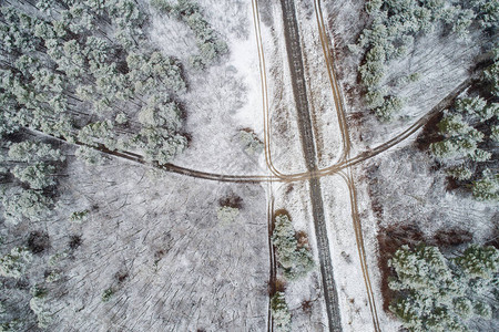 匈牙利雪林铁路图片