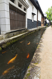 日本吉富省井田Furukawa村图片