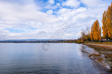 从瑞士Preverenges海滩对日内瓦湖的图片
