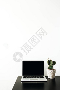 最小的办公室工作区带样机屏幕和多汁植物的笔记本电脑在白色背景的花盆中博主自由职业图片