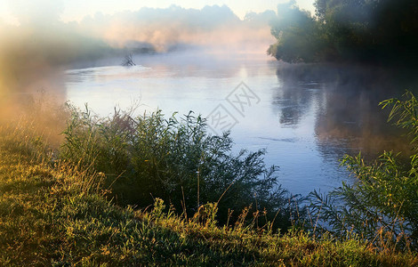 美丽的平静的河流图片