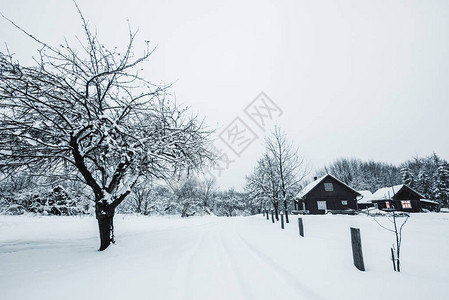 喀尔巴阡山脉覆盖着白雪的树木和屋图片