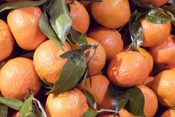 新鲜的橘子有叶子图片