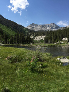 McGeeCreek峡谷夏季在东山区加利福尼亚州图片