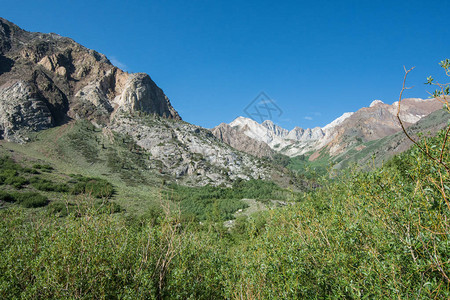 McGeeCreek峡谷夏季在东山区加利福尼亚州图片