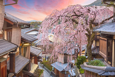 京都日本在春天有樱花的东山区图片