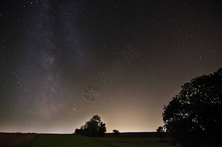 夜晚的星空与树木背景图片